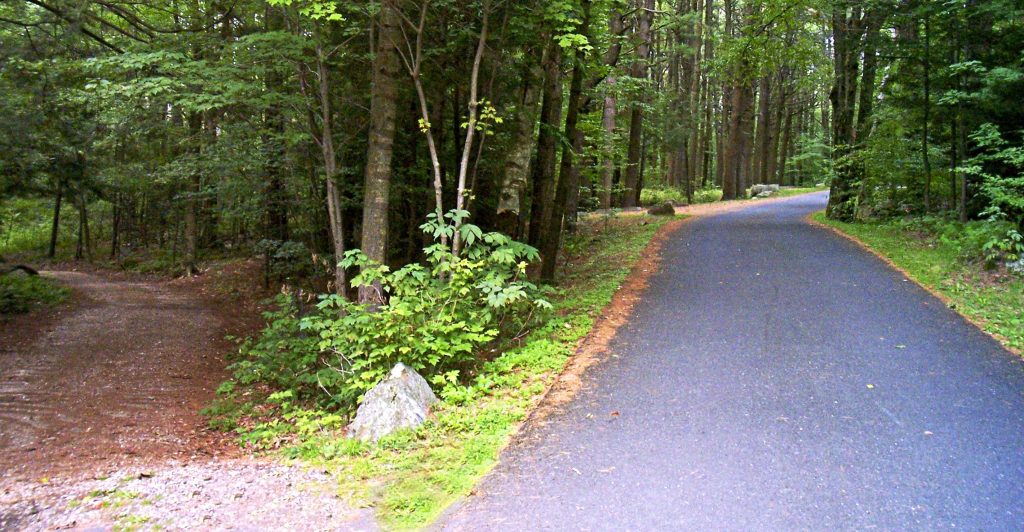 Why Asphalt Sealcoating Maple Grove Extends the Life of Your Pavement