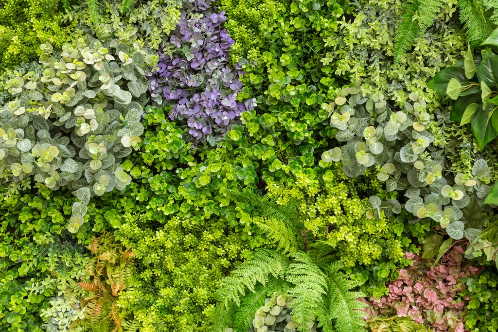 Unlock Vibrant Gardens with Nursery Sandy OR Techniques