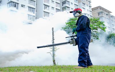 Protect Your Family from Bites with Mosquito Control Fort Myers, FL Homeowners Trust