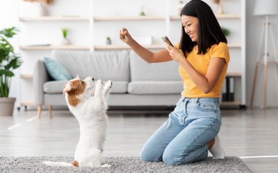 How to Find a Veterinarian in Lakeland, TN Pet Owners Trust for Quality Care