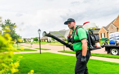 How to Achieve a Healthier Yard Using Weed Control for Lawns Bartlett TN Homeowners Trust