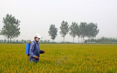 Learning how non-selective herbicides help manage tough weeds in American lawns effectively