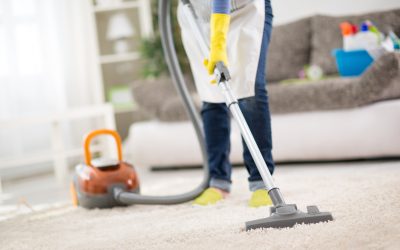 Find expert solutions for stubborn stains with carpet cleaning near Arvada CO for your home