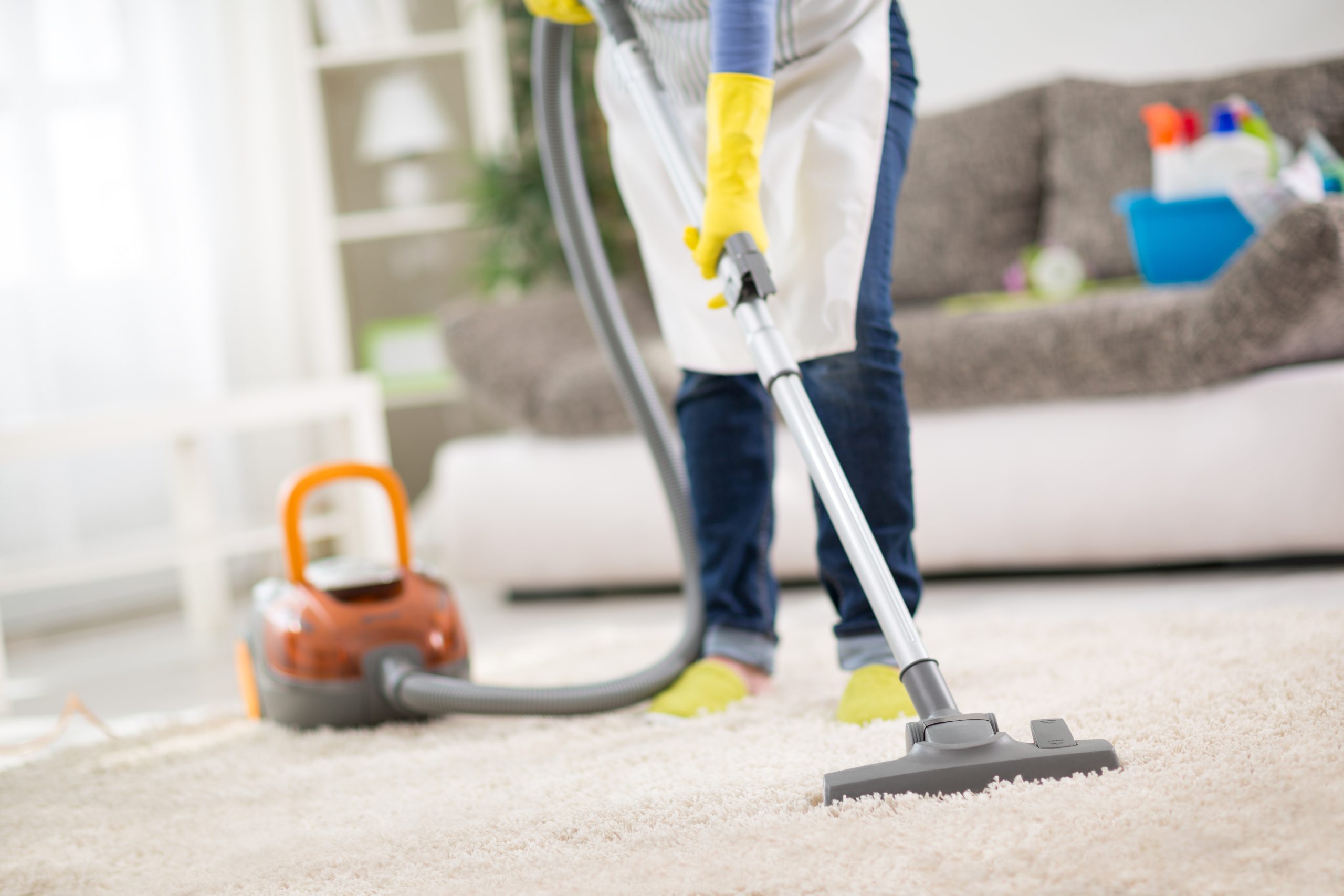 Find expert solutions for stubborn stains with carpet cleaning near Arvada CO for your home