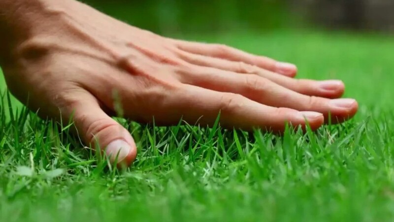 Achieve a Lush Green lawn with Lawn Care Treatment in Shelbyville, KY Homeowners Trust Most