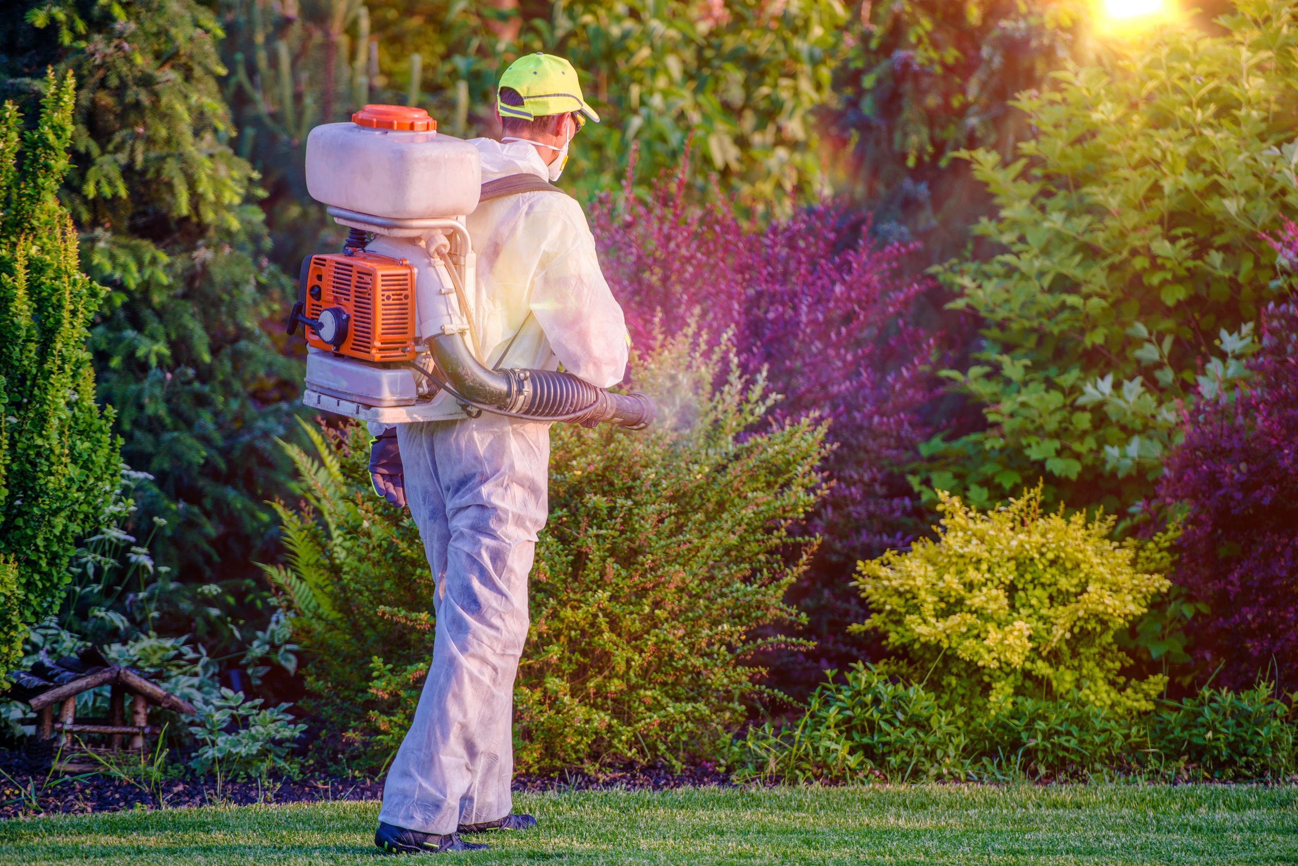 Practical Solutions for Weed Control For Lawns, New Albany, IN, Homeowners Need Now