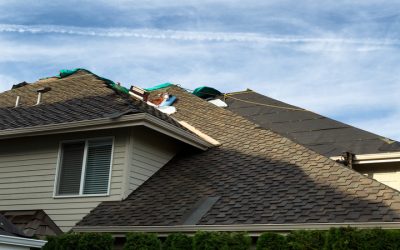Secure Peace of Mind by Hiring the Best Roofing Contractor Near Caledonia, IL
