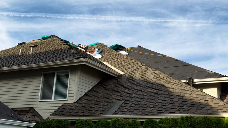 Secure Peace of Mind by Hiring the Best Roofing Contractor Near Caledonia, IL