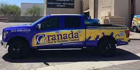 Open vs. Enclosed Trailer Wraps: Which Gets More Attention on Arizona Roads?