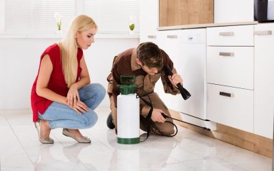 Keep Your Family Safe and Comfortable Using Pest Control Services Cedar Grove NJ Homeowners Need