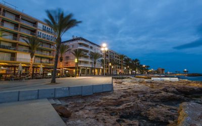 Finding Affordable Pet Friendly Apartments Newport News Without Compromising Comfort