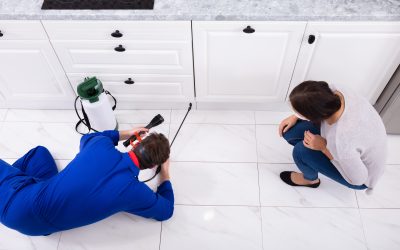 Protect Your Family and Home With Residential Pest Control in Peachtree City, GA Solutions