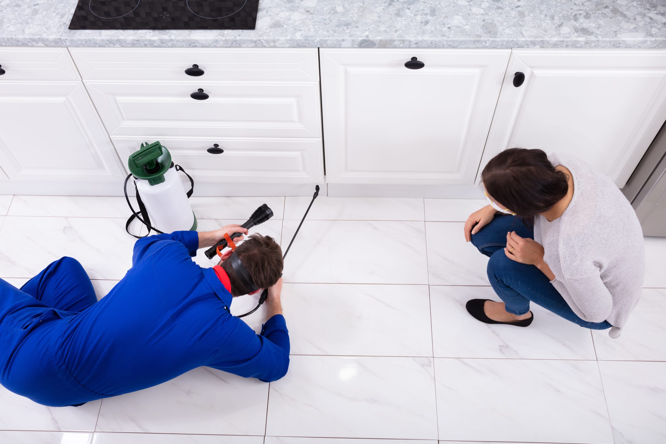 Protect Your Family and Home With Residential Pest Control in Peachtree City, GA Solutions
