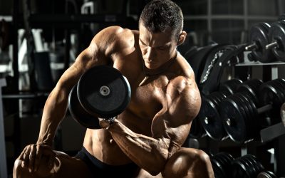 Keep your gym running smoothly using expert Fitness Equipment Maintenance in Little Rock, AR