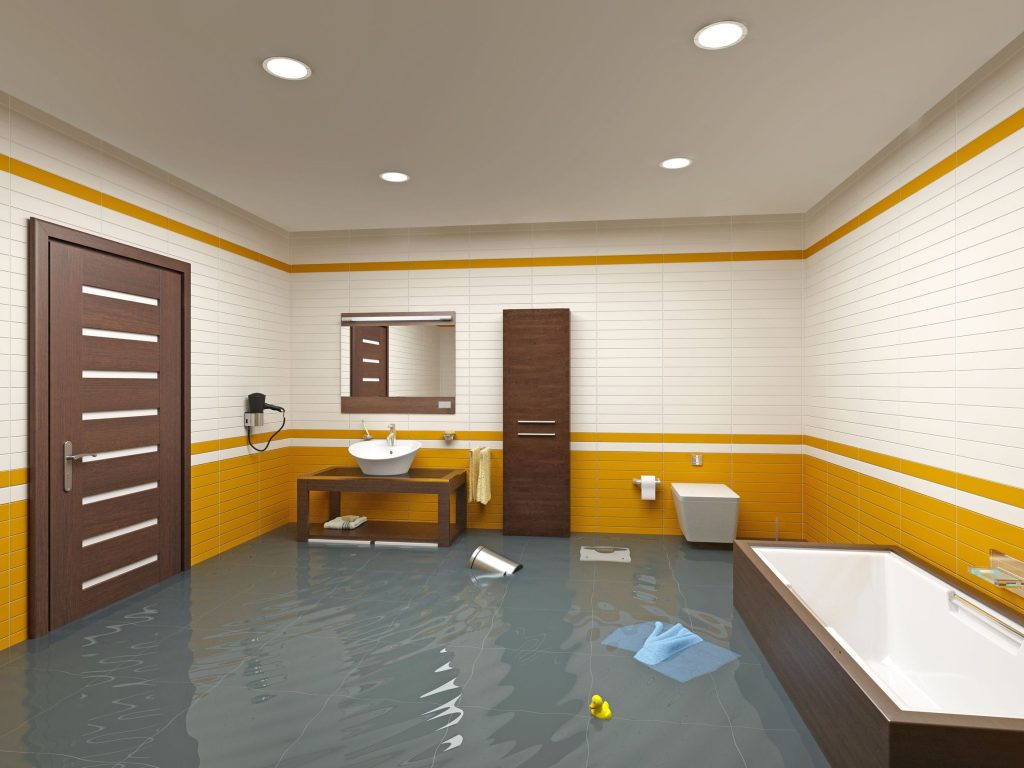 Save Your Home from Mold with Water Damage Cleanup Brooklyn NY Residents Trust