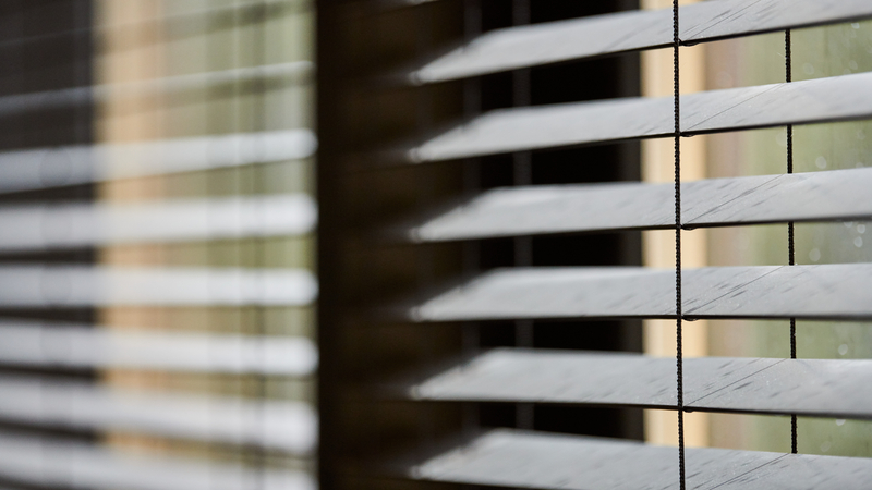 Upgrade Your Rooms With Affordable and Durable Shades Tampa FL Families Trust