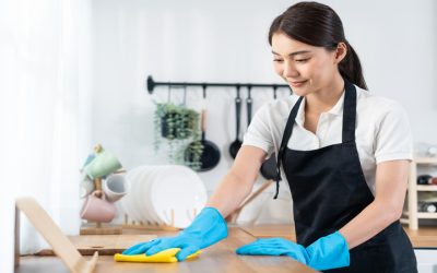 Experience Sparkling Homes with Cleaning Services In Pittsburgh, PA, for a Healthier Lifestyle