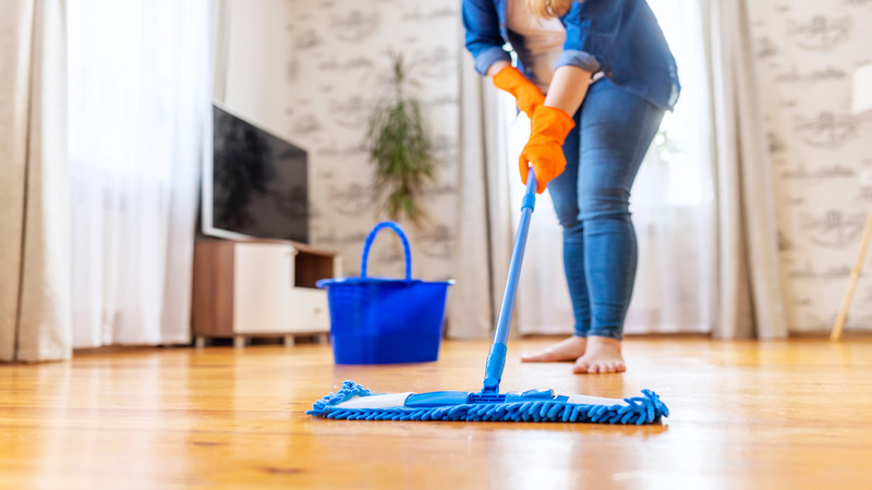 Find Reliable Help with Maid Services In Cincinnati, OH, for Busy Professionals
