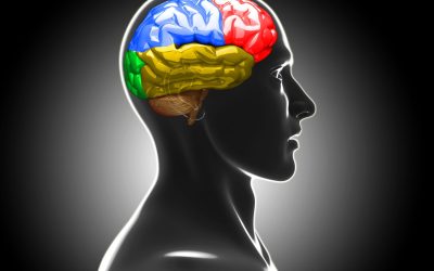 Building Stronger Minds with Cognitive Training, San Francisco, CA, for All Ages