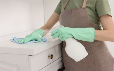 Achieve Lasting Cleanliness With House Cleaners In Orlando, FL for All Lifestyles