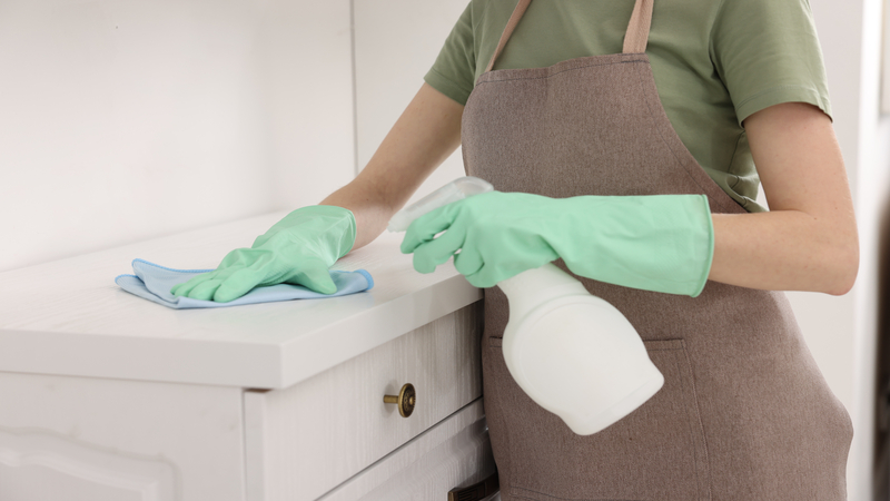 Achieve Lasting Cleanliness With House Cleaners In Orlando, FL for All Lifestyles