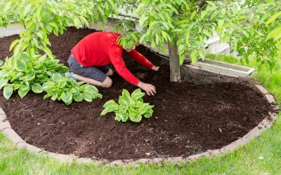 Landscaping Projects Thrive When Mulch Companies in Watertown, WI, Supply Premium gGarden Solutions