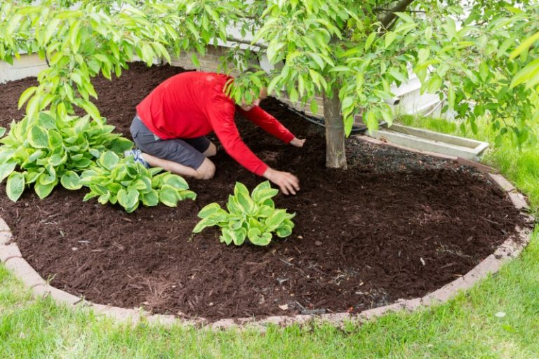 Landscaping Projects Thrive When Mulch Companies in Watertown, WI, Supply Premium gGarden Solutions