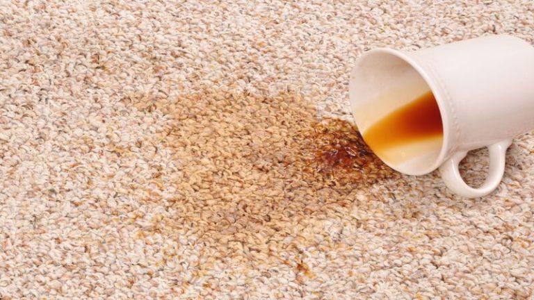 Moisture Exposure Insights Gained Through Bathroom Tile Cleaning Service in Madison, WI