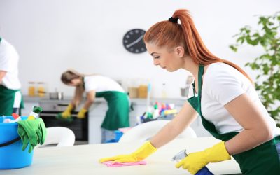 Enjoy a Healthier Home with Home Cleaning Services In Lenexa, KS for Busy Families