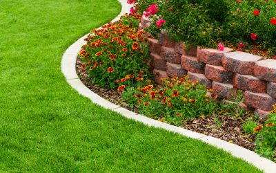 Make the Most of Small Spaces with Custom Backyard Design in Murrieta CA