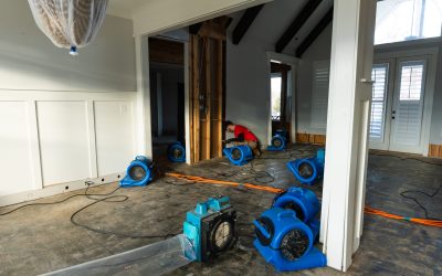 What to Expect During Flood Damage Repair in Macon, GA, for Peace of Mind