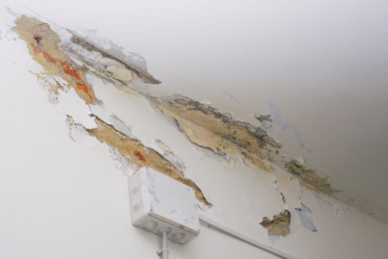 Expert Solutions for Common Home Issues with Drywall Repair Haddonfield NJ Services