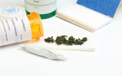 Unveiling Safer Ways to Buy THCA Vapes Online for Quality and Peace of Mind