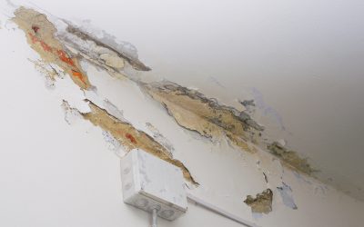 Get flawless walls with Sheetrock Repair Holly Springs GA for lasting home improvements
