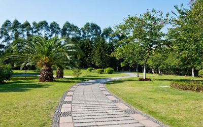 Why Investing in Quality Pavers Adds Long-Term Value to Your Property