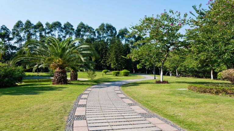 Why Investing in Quality Pavers Adds Long-Term Value to Your Property