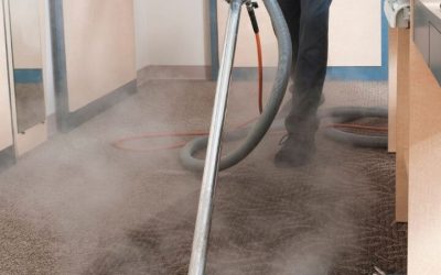 Can Sunscreen and Body Oils Create Dark Carpet Areas Near Furniture?